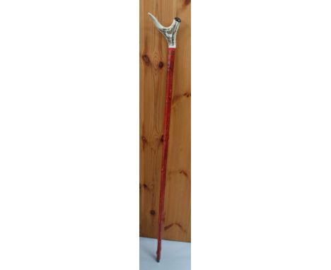 Walking Stick, Hazel wood with Deer Horn Thumb handle