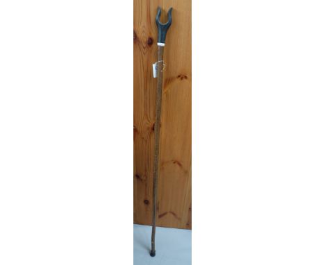 Walking Stick, Hazel wood with Black Buffalo Thumb handle