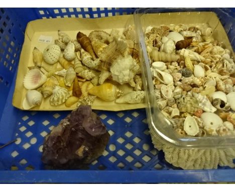 Collection of sea shells and large piece of Amethyst? 