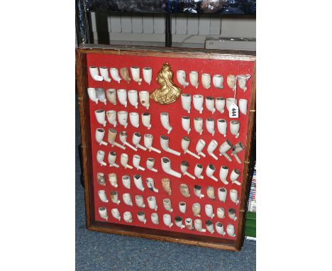 A MODERN GLAZED DISPLAY CASE CONTAINING NINETY ONE MOUNTED CLAY PIPE BOWLS AND A GILT SIDE PROFILE PORTRAIT OF QUEEN VICTORIA