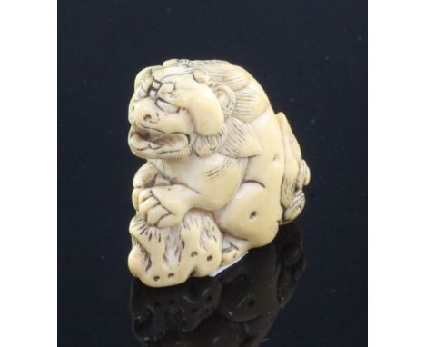 A Japanese ivory netsuke of a shi-shi, Edo period, standing on it's haunches with its front paws on a rock, 3.6cm