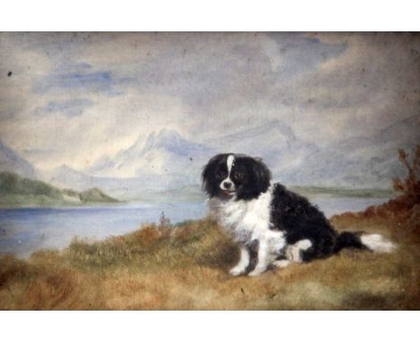 E. Bacon (19th C.)oil on canvas,'Yeddo', portrait of a Spaniel in a landscape,inscribed verso and dated 1886,7 x 10in.