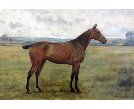 George Goodwin Kilburne (1839-1924)oil on canvas,Portrait of a horse in a field,signed and dated '99,11.5 x 17.5in.