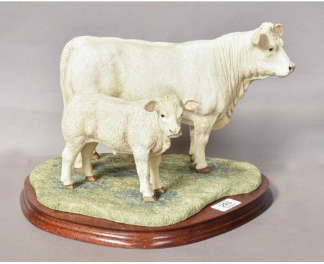 Border Fine Arts 'Charolais Cow and Calf' (Style Three), model No. B0742 by Jack Crewdson, limited edition 600/750, on wood b