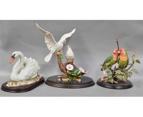 A Large Collection of Country Artists Bird Models, including 'Bird of Paradise', model No. 01987, 'Pair of Lovebirds', model 