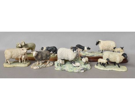 Border Fine Arts Farm Animals, including 'Milking at Peter Trenholmes' (lacking wood base), Herdwick Sheep, 'Suffolk Ewe and 