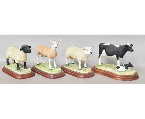 Border Fine Arts Studio Models, including 'Blue Faced Leicester Ram', model No. A0737, 'Herdwick Ewe and Lamb', model No. A18