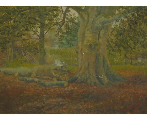R. Bilbrough. Woodland landscape, oil on canvas, signed and indistinct attribution verso, 24.5cm x 32cm.