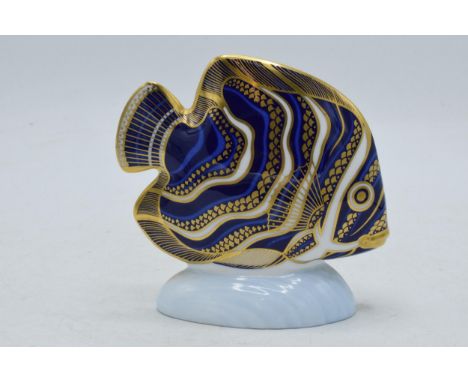 Royal Crown Derby paperweight Koran Angel Fish, first quality with gold stopper.  In good condition with no obvious damage or