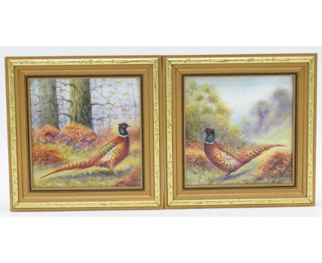 Quality pair of framed painted porcelain plaques of pheasants in the woodlands, by Nigel Creed, the Royal Worcester artist, b