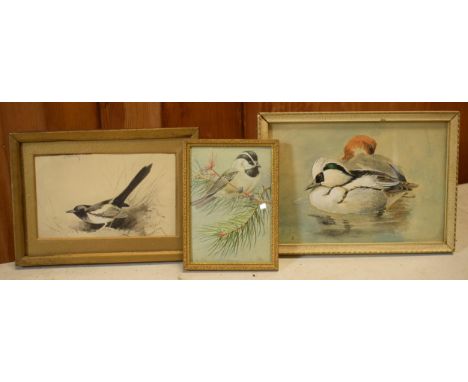 Donald Birbeck: watercolours of a magpie, ducks and bird on a branch, signed by Birbeck , a former Royal Crown Derby and Roya