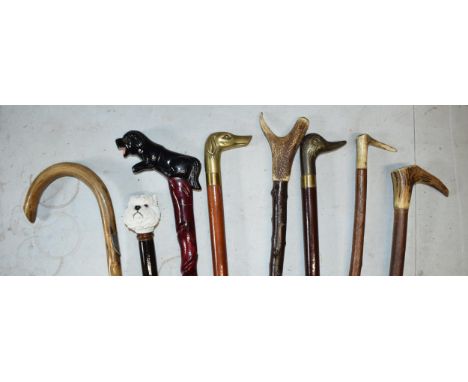 A collection of vintage and similar walking sticks, some with ornate handles such as a terrier, horn and brass examples, long