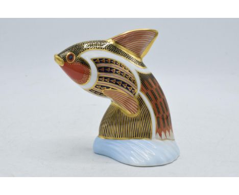 Royal Crown Derby paperweight Tropical Fish Guppy, first quality with gold stopper.  In good condition with no obvious damage