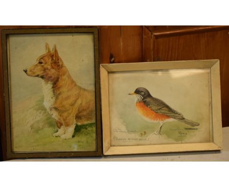 Donald Birbeck: watercolours of a corgi and a robin, signed by Birbeck , a former Royal Crown Derby and Royal Worcester artis