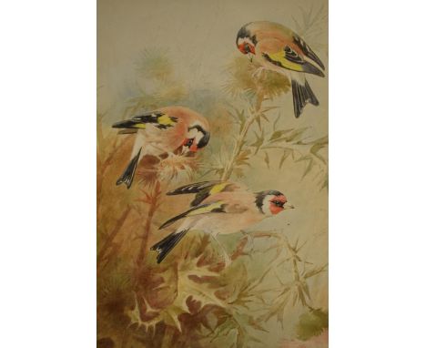 Donald Birbeck: watercolour of goldfinches, by Birbeck, a former Royal Crown Derby and Royal Worcester artist, 28x23cm, frame