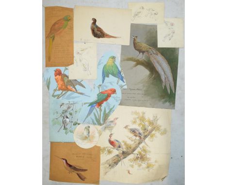 Donald Birbeck: a collection of unmounted artwork to include watercolours and similar, mostly signed by Birbeck , a former Ro