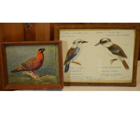 Donald Birbeck: watercolours of a laughing kookaburra and a blue winged kookaburra together with one other exotic bird, signe