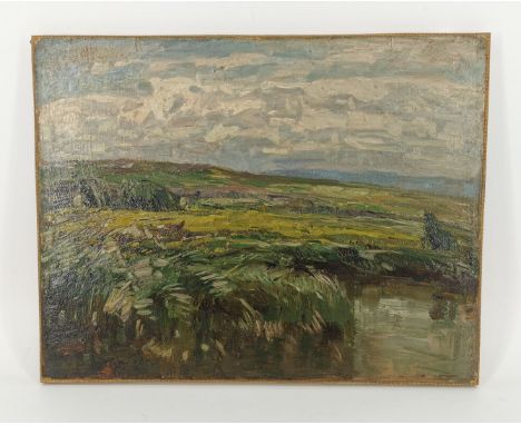 SCHIRKBAZITT, K. (Künstler des 19. / 20. Jh.), Gemälde: "Weite Landschaft mit Flusslauf", Öl auf Hartfaserplatte, unten links