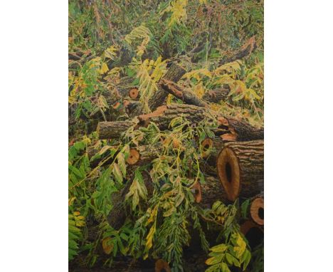 Norman Stevens, (1937-1988) - Limited edition print - Black walnut, Kew Gardens, signed in pencil lower right, 81cm x 61cm, f