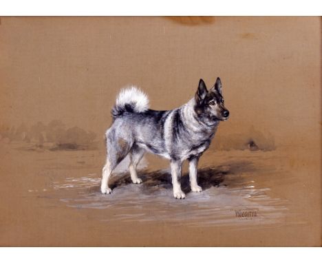 REUBEN WARD BINKS (1880-1950) 'Woggitts', a dog portrait, signed and dated 1914, 26cm x 35.5cm, framed and glazed