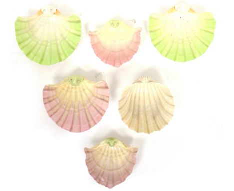 FIVE ROYAL WORCESTER PORCELAIN SALTS OR DISHES in the form of scallop shells, the largest 11cm wide together with a Belleek p