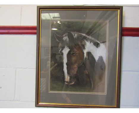 MARY BROWNING: pastel portrait of "Monty", framed and glazed, 47cm x 37cm