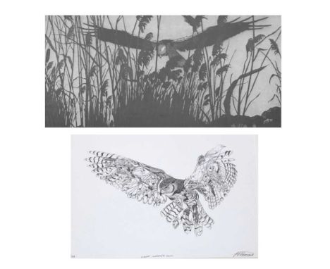 Tim Major - Etching and aquatint - 'Harrier', No. 15/30, together with Jon Tremaine -Giclee print - 'Great Horned Owl'. 140/1