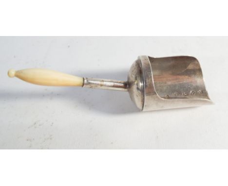 Georgian silver caddy spoon modelled as a scoop with ivory handle   condition - Very good condition - no sign of damage or re