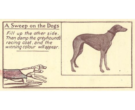 GREYHOUND RACING, A Sweep on the Dogs, used, VG