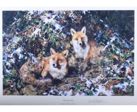 David Shepherd: a signed limited edition coloured print, "Winter Foxes", 164/1500, in gilt frame 