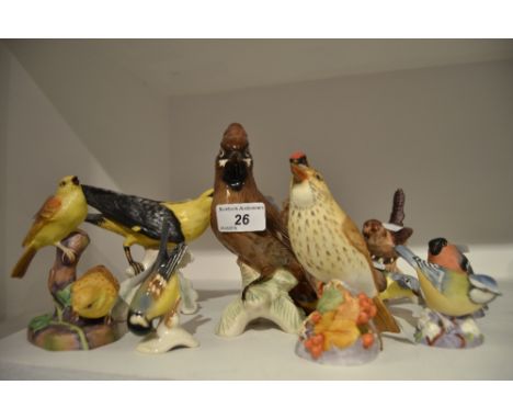 Ornithological Models - a Royal Worcester model of a Thrush; another, Bullfinch; a Goebel model of a Wren; Blue Tit;  etc (10