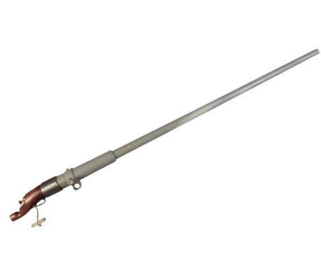 A BREECH LOADING PUNT GUN 19th century, with grey painted barrel, 1 1/4" breech, with walnut butt, the barrel 215cm longProve