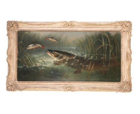 HENRY LEONIDIS ROLFE (1824-1881) A pike hunting bleak, oil on board, 70cm x 34cm, mounted in a whitewash gilt frame