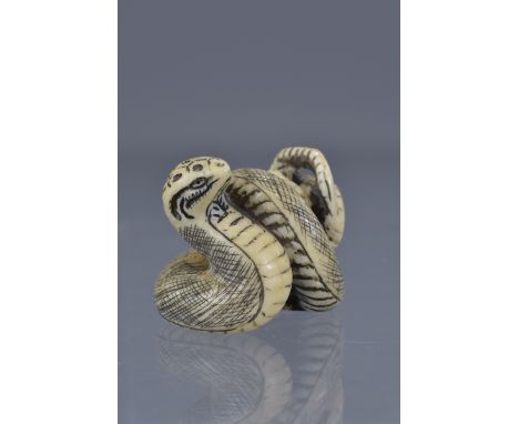 A Japanese Meiji period carved ivory netsuke of a snake. Signed. 4cm x 3.5cm tall 