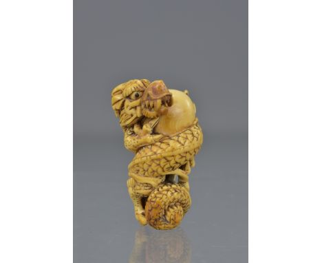 A Japanese Meiji period carved ivory netsuke of a dragon holding a pearl. Signed Ikko. 5cm tall 