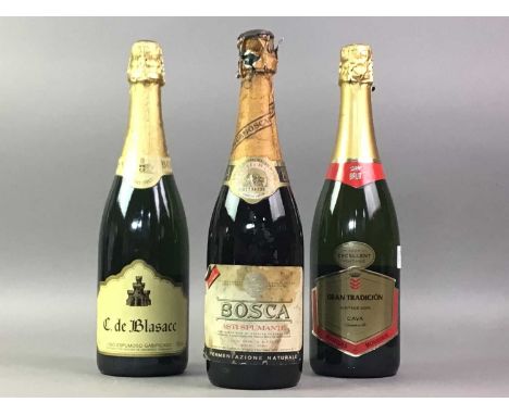 FOUR BOTTLES OF SPARKLING WINE INCLUDING MARQUES DE MONISTROL 2006 CAVA Various ABVs / Each 75clQty: 4