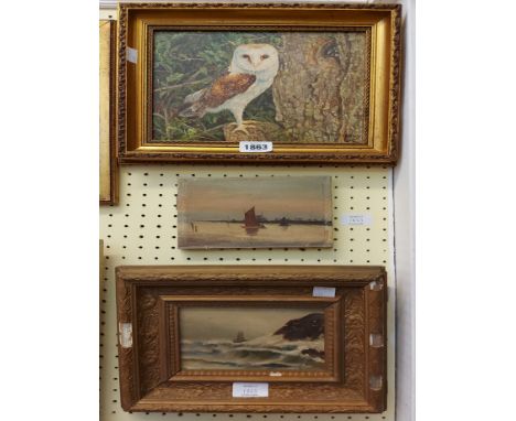 Three small oil paintings comprising Sheila Morley: a study of a barn owl, a gilt framed stormy seascape and sailing vessels 