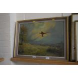 R J Scott, study of a pheasant in flight, oil on board