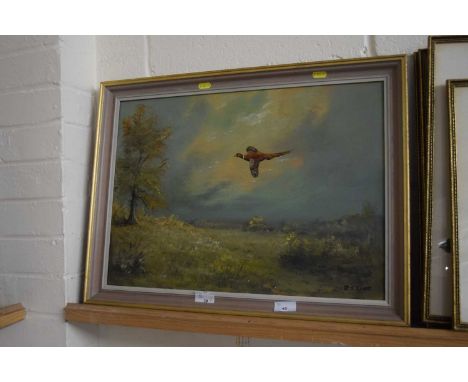 R J Scott, study of a pheasant in flight, oil on board