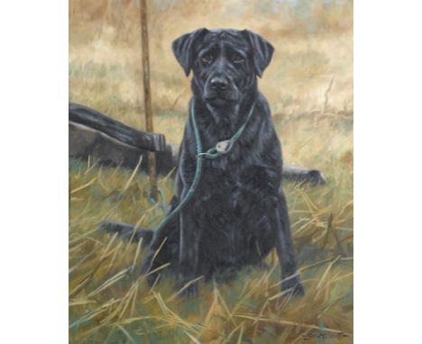 †JOHN TRICKETT (1953-) PORTRAIT OF A BLACK LABRADOR signed, 59 x 49cm ++Fine condition in 18th c style gilt frame