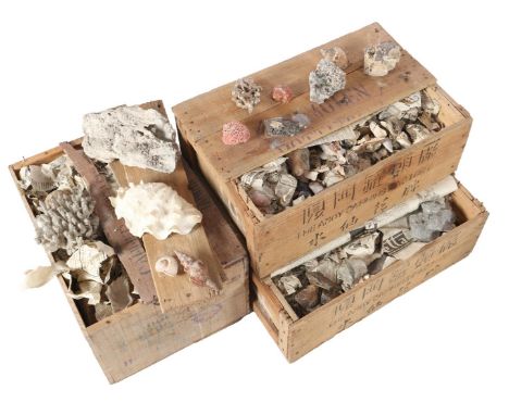 3 wooden boxes full of stones, shells and minerals, total weight 70.4 kilograms