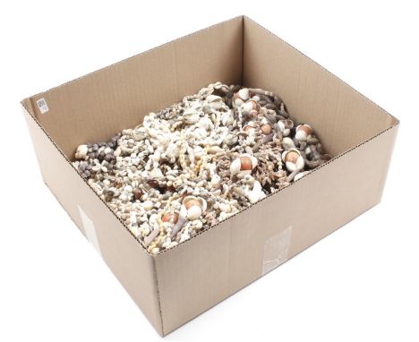 Box with shells bijou