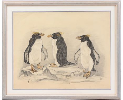 Monogram BS, Penguins, lithograph 52x67 cm