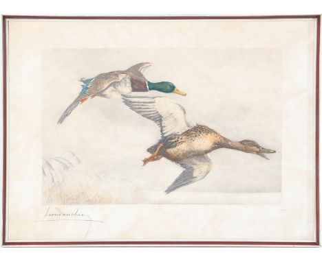 Léon Danchin (1887-1938)Flying pair of wild ducks, color etching 236/500, 35x57 cm, outer size is 56x76 cm