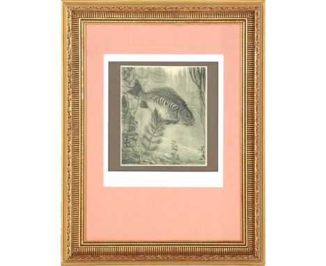 Henri Verstijnen (1882-1940)Underwater life, lithograph 27x23 cm in a classic frame, outer size is 72x56 cm
