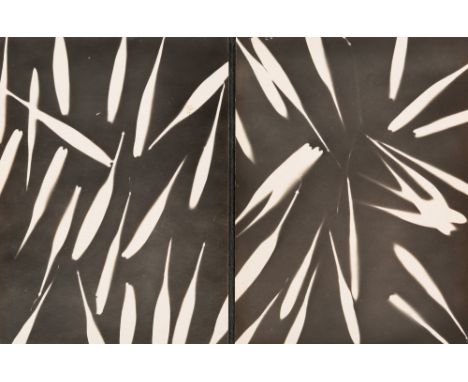 MIKHAIL MIKHAILOVICH TARKHANOV (RUSSIAN 1888-1962)Photogram, circa 1920silver print11 x 17 cm (4 1/2 x 7 in.)PROVENANCEAcquir