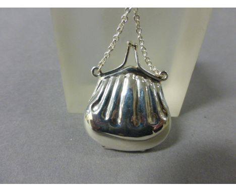 Small Silver Purse