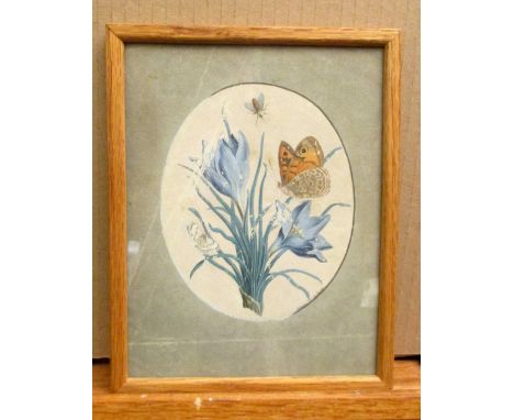 Isaac Johnson of Woodbridge (British, 1754-1835) Study of Blue Crocus with Butterflies and an Insect by Isaac Johnson of Wood