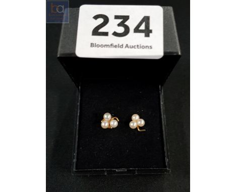 PAIR OF 9 CARAT AND PEARL EARRINGS 