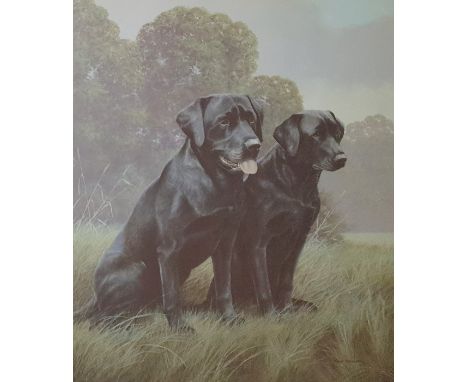 After N HemmingColour prints, limited edition, 512/850, signed in pencil in the margin showing a pair of black labradors, 50 